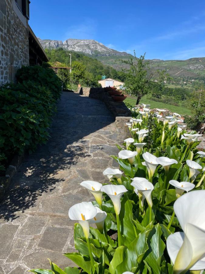 Posada Casa Guadamillas Bustancilles Екстериор снимка