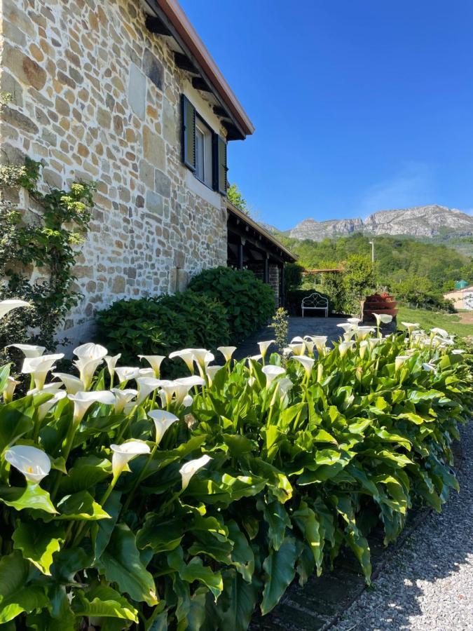 Posada Casa Guadamillas Bustancilles Екстериор снимка